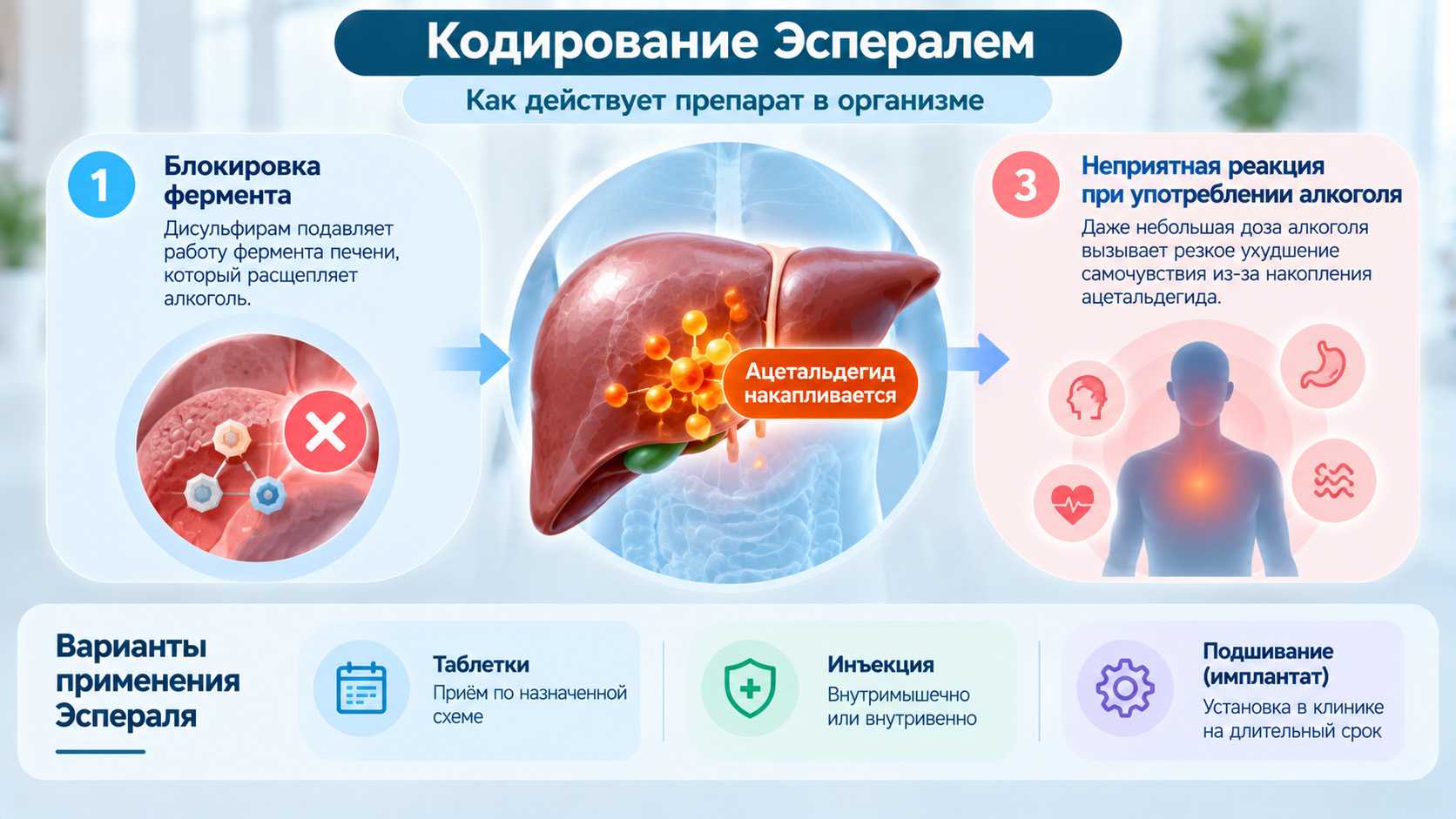Кодирование Эспералем — способы применения и принцип действия. Инфографика о кодировании Эспералем: способы применения дисульфирама, блокирование фермента ALDH и возможные опасные реакции при употреблении алкоголя.